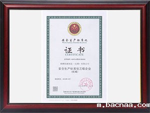 安全企业
