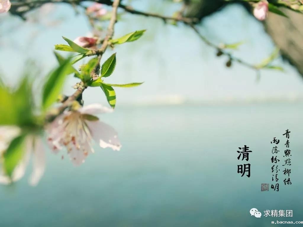 微信图片_20190404164243 微信图片_20190404164243